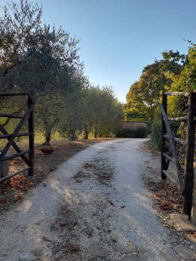 8380 Il Tiglio Verde Manciano Buitenkant foto