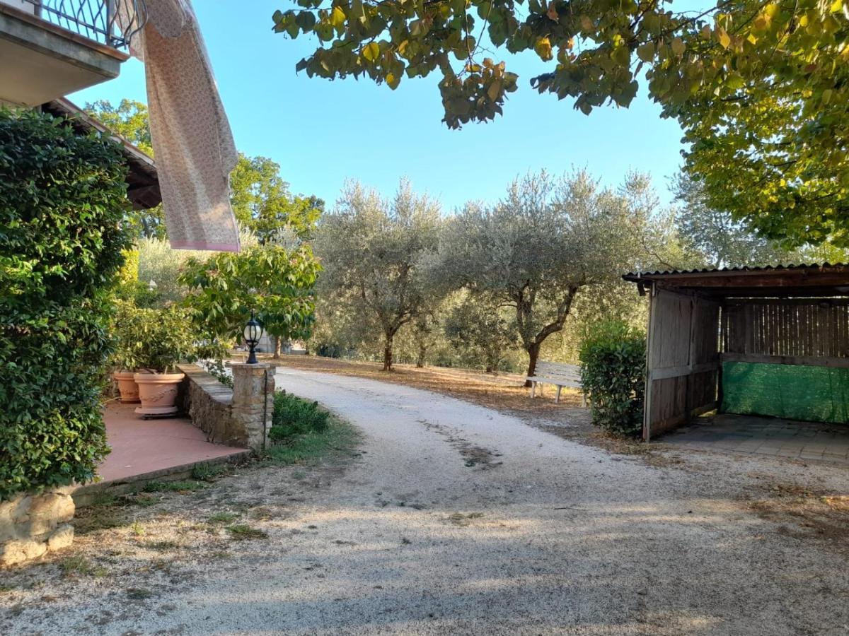 8380 Il Tiglio Verde Manciano Buitenkant foto