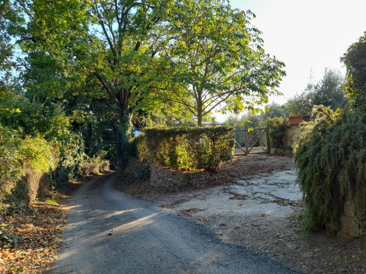 8380 Il Tiglio Verde Manciano Buitenkant foto